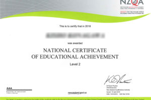ncea_certificate